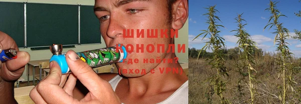 твердый Алексин
