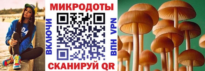 Галлюциногенные грибы Psilocybine cubensis  Трёхгорный 
