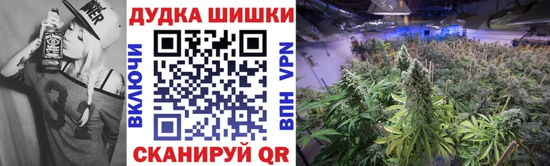 купить   Трёхгорный  Бошки марихуана SATIVA & INDICA 